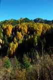 dsc_6757.jpg